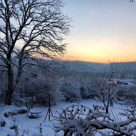 Ueber Den Daechern Von Koblenz - Aussichts-Wohnung Naturpark Rheinblick, Ruhig, Zentrumsnah, Sport-Pool ภายนอก รูปภาพ