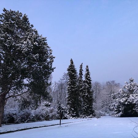 Ueber Den Daechern Von Koblenz - Aussichts-Wohnung Naturpark Rheinblick, Ruhig, Zentrumsnah, Sport-Pool ภายนอก รูปภาพ