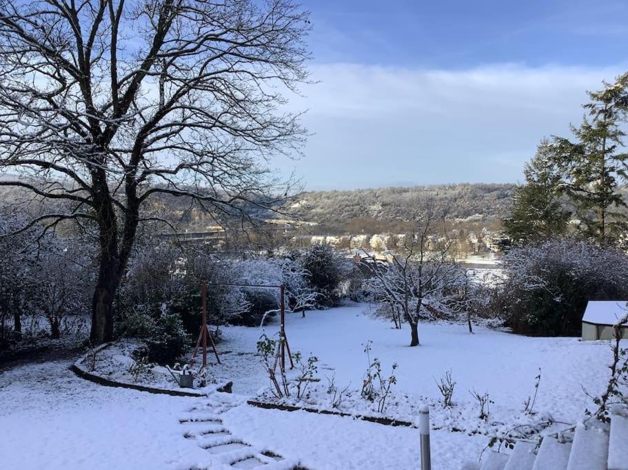 Ueber Den Daechern Von Koblenz - Aussichts-Wohnung Naturpark Rheinblick, Ruhig, Zentrumsnah, Sport-Pool ภายนอก รูปภาพ