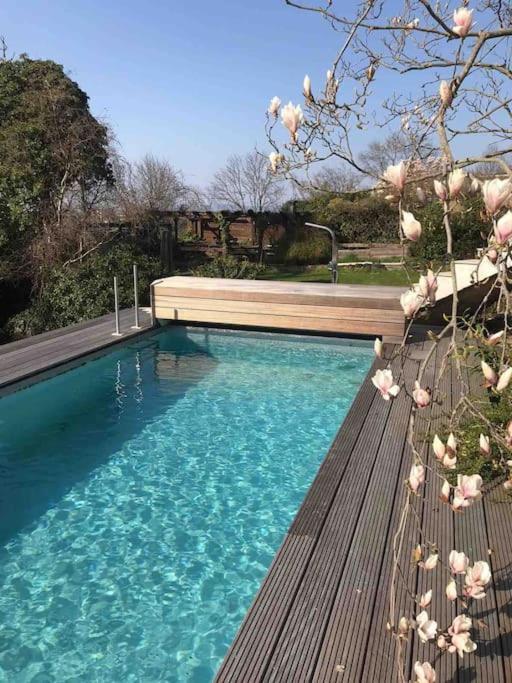 Ueber Den Daechern Von Koblenz - Aussichts-Wohnung Naturpark Rheinblick, Ruhig, Zentrumsnah, Sport-Pool ภายนอก รูปภาพ